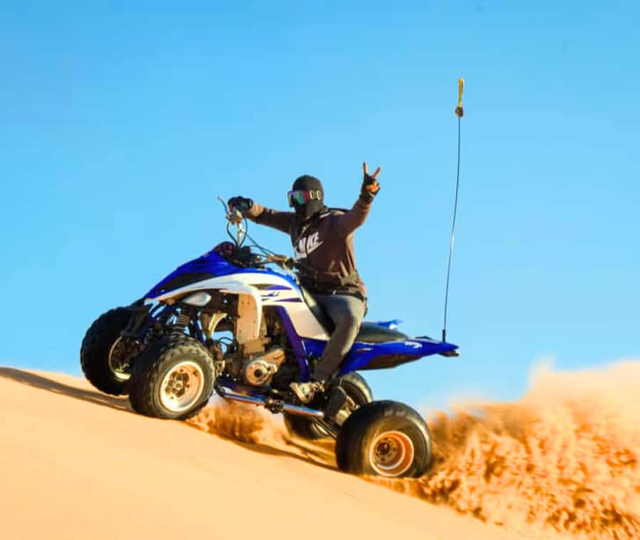 Doha: Desert Safari with Camel Ride and Quad Bike and Buggy - What the $220 price really covers