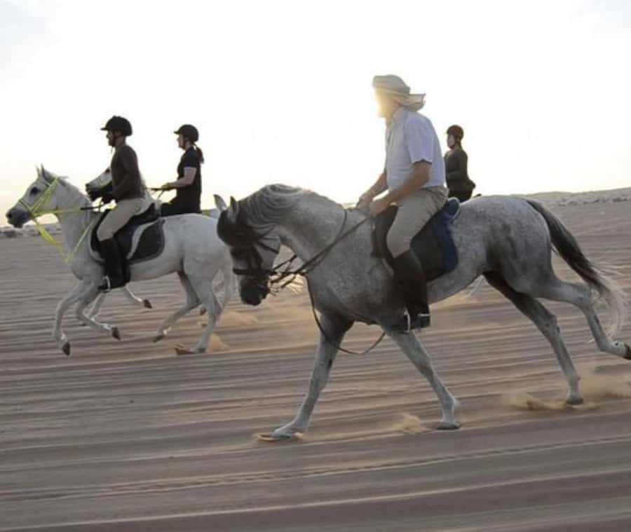 Doha: Desert Safari with Camel Ride and Quad Bike and Buggy - Dune bashing brings the first big rush