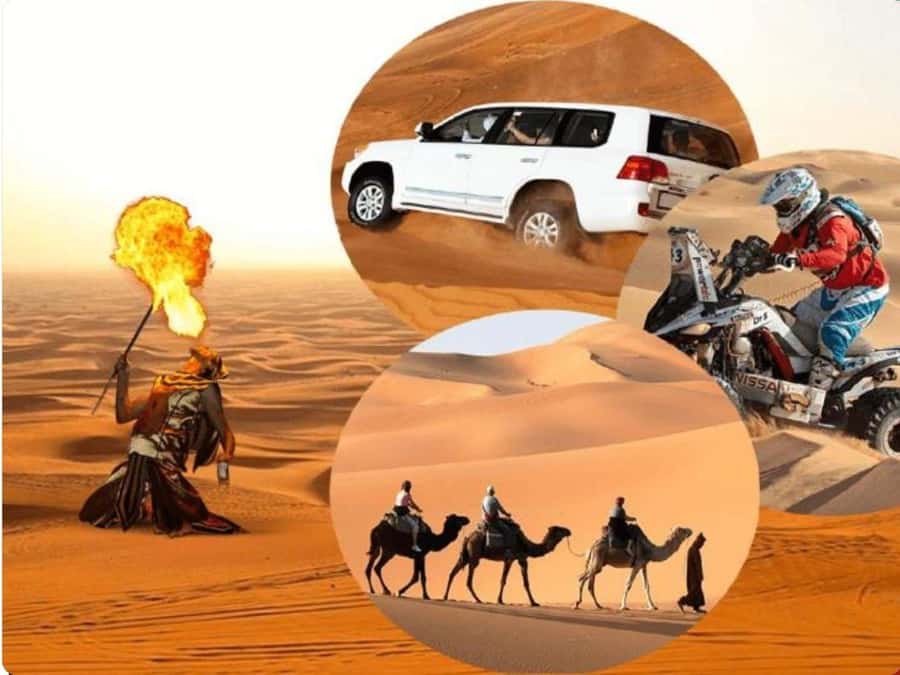 Doha:Desert Safari with Camel Ride, ATV Bike,& Sand Boarding - Key points to know before booking