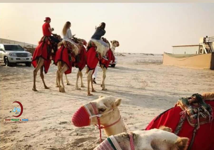 Doha: Desert Safari with Dune Bashing and Inland Sea - Khor Al Adaid, where sand reaches the sea