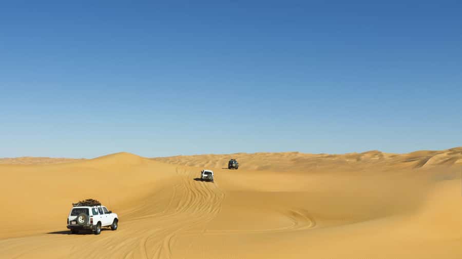Doha: Desert Safari with Dune Bashing and Inland Sea - What the $60 price includes