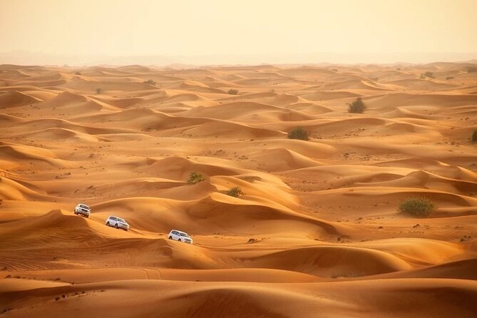 Doha: Desert Safari With Quad bike ,Camel Ride And Sand Boarding - Who should choose this desert trip?