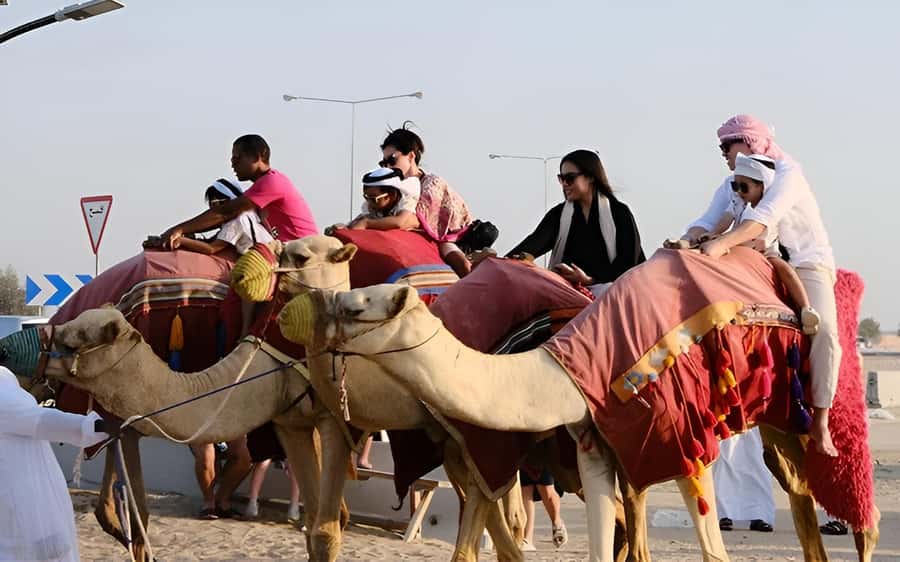 Doha: Desert Safari with Quad Bike, Sandboard & Camel Ride - Key points at a glance