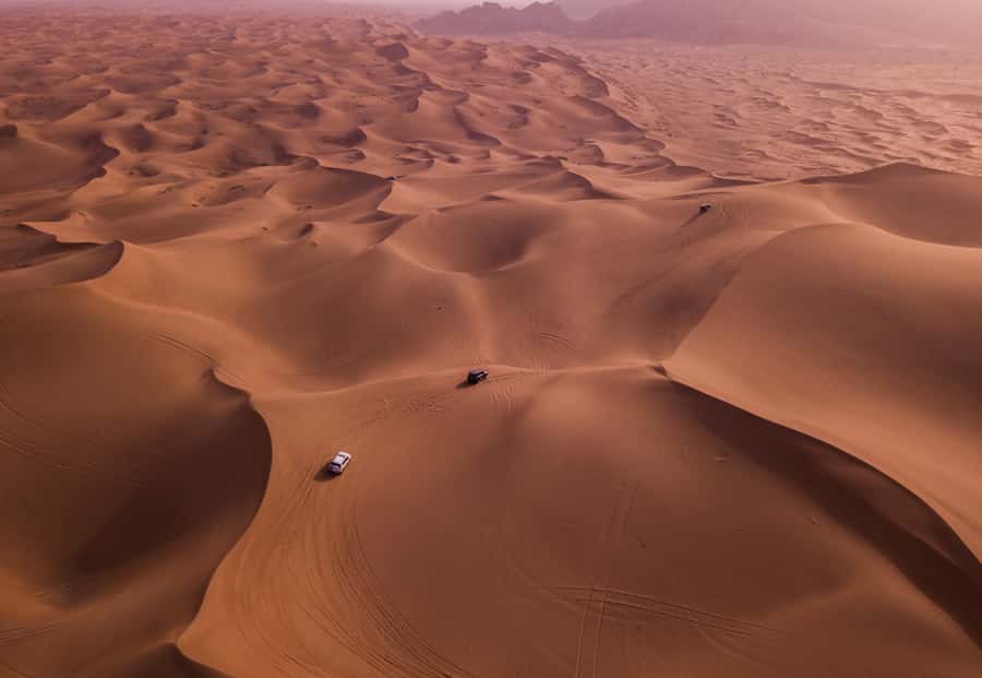 Doha: Desert Safari with Quad Bike, Sandboard & Camel Ride - Sandboarding on Qatar’s dunes