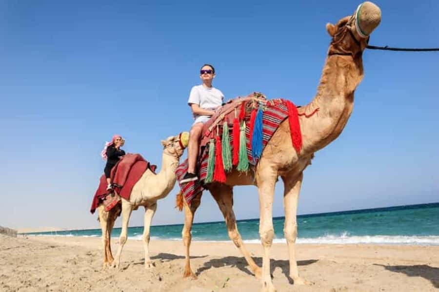 Doha: DesertSafari with Quad Bike, Camel Ride & Sandboarding - Camel stop, Arabic coffee, and a slower change of pace