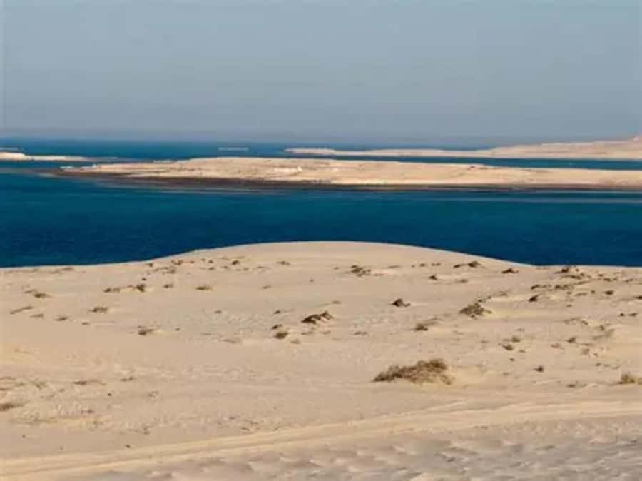 Doha: DesertSafari with Quad Bike, Camel Ride & Sandboarding - Who should book this safari?