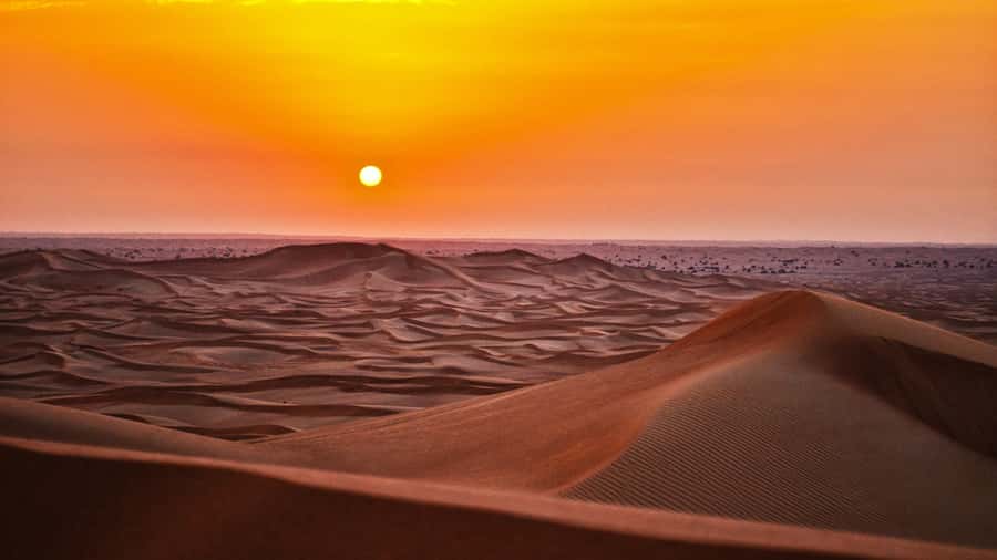 Doha: Dune Bashing Safari, Falcon, Camel, ATV, Sandboarding - From Doha to Sealine in an air-conditioned 4WD