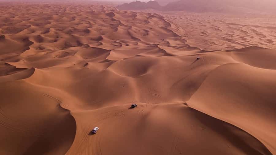 Doha: Dune Bashing Safari, Falcon, Camel, ATV, Sandboarding - Dune bashing with a driver who knows the sand