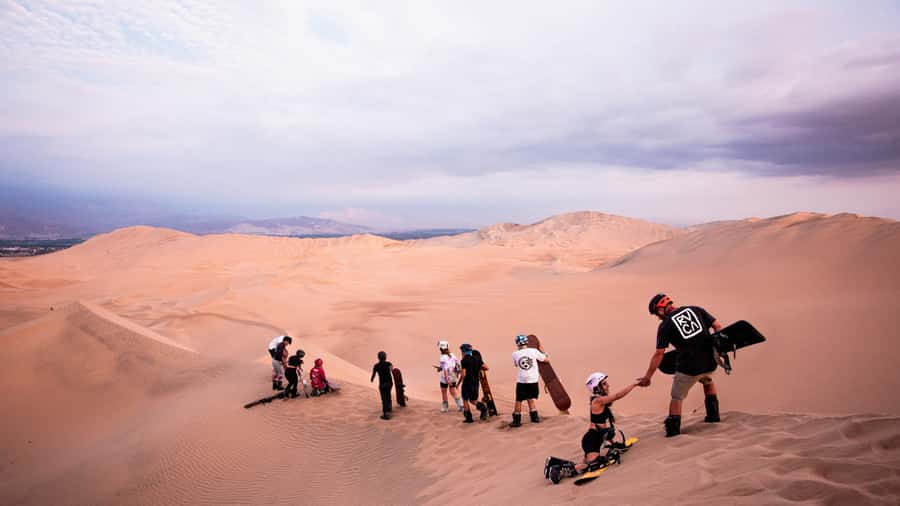Doha: Dune Bashing Safari, Falcon, Camel, ATV, Sandboarding - Camels, falcons, and a taste of Bedouin life