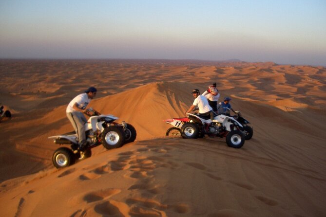Doha: Escape to Eternity, Relaxing Desert Wonders with Camel Ride - Mesaieed, camels, falcons, and camp tea