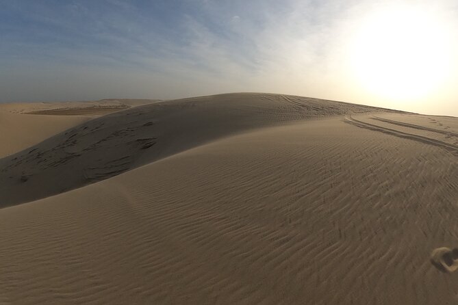 Doha: Escape to Eternity, Relaxing Desert Wonders with Camel Ride - What the $79 price is really buying