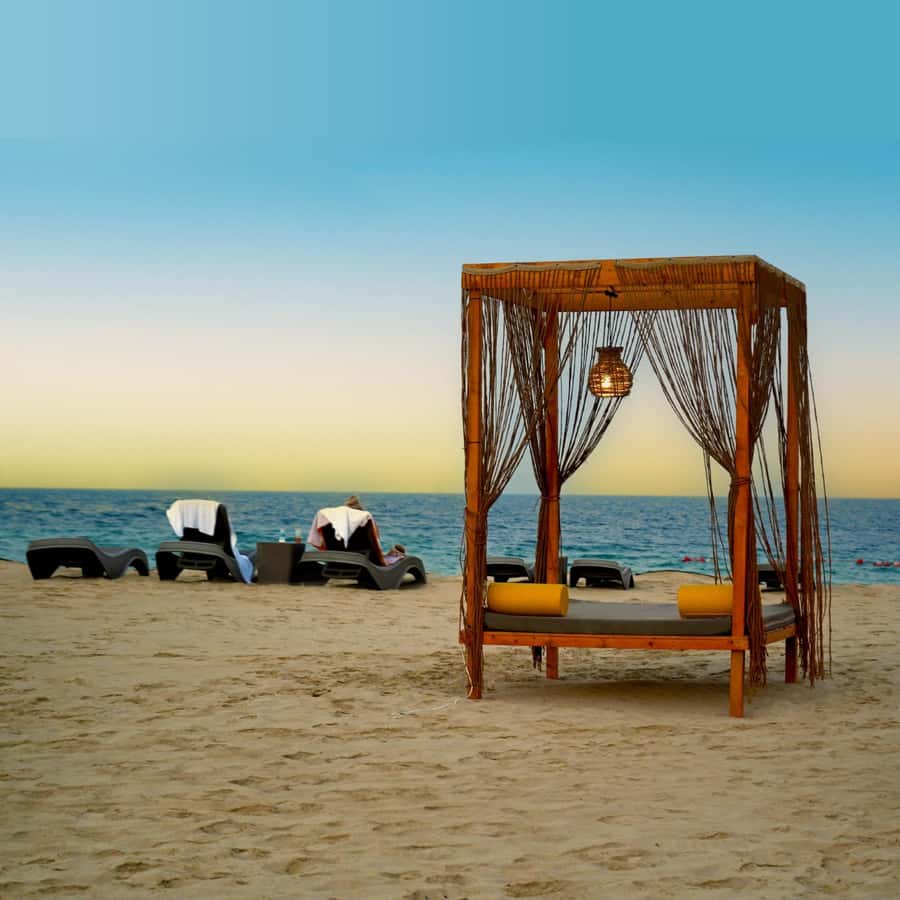 Doha: Full-Day Desert Safari, Dune Bashing & BBQ Dinner - Key details before you book