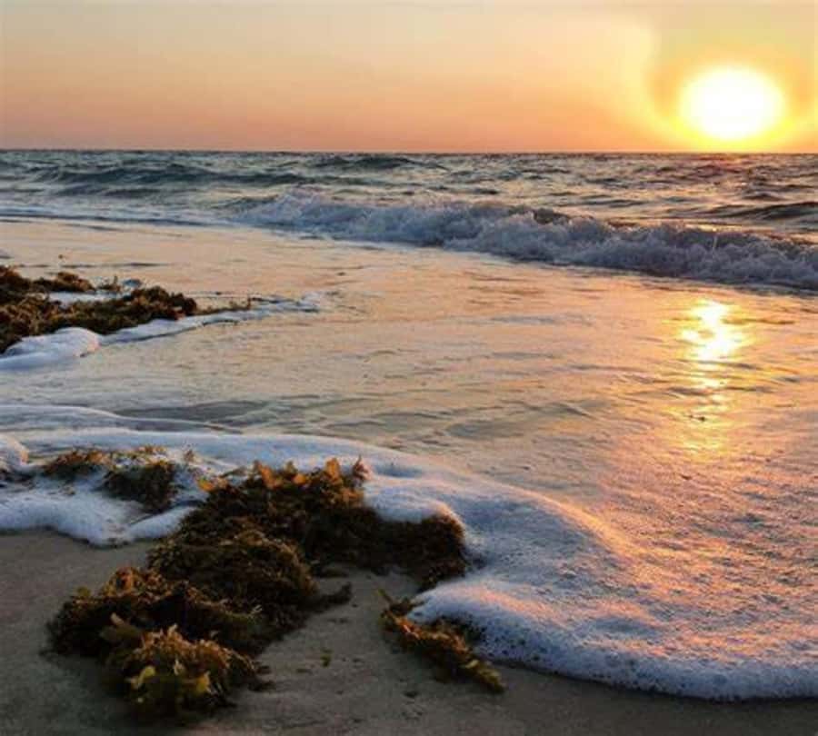 Doha: Full-Day Desert Safari, Dune Bashing & BBQ Dinner - The Inland Sea, reached by scenic desert roads
