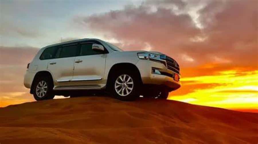 Doha: Full-Day Desert Safari, Dune Bashing & BBQ Dinner - A 20-minute camel ride at Sealine