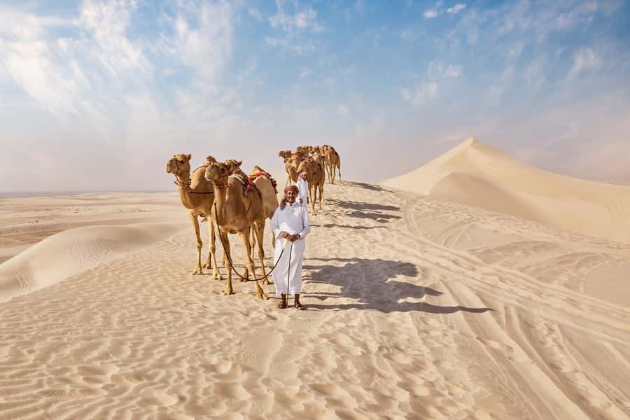 Doha Full Day Guided Tour in Qatar North and West - Why this eight-hour route works