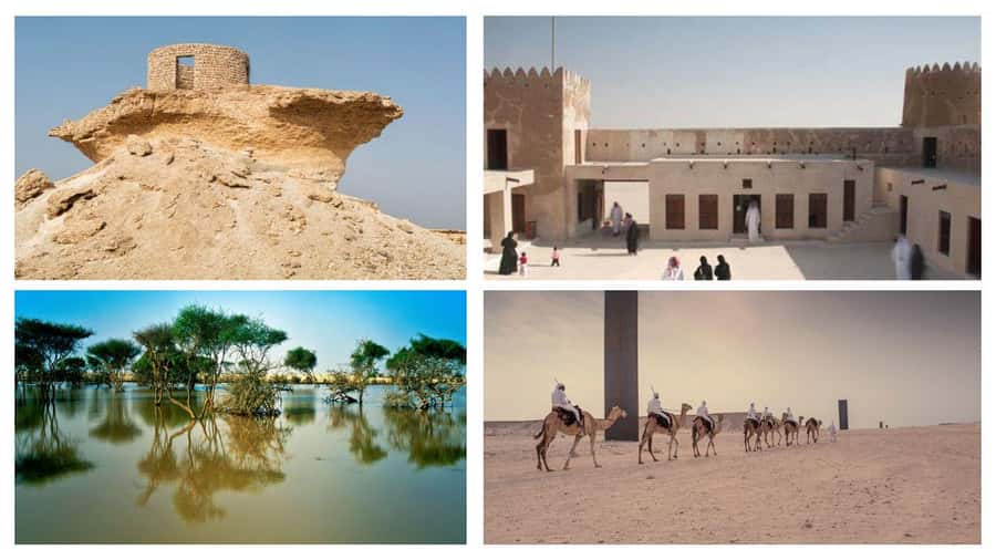 Doha Full Day Guided Tour in Qatar North and West - Al Thakhira and the mangroves