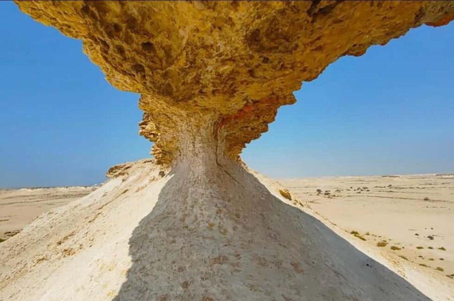 Doha: Full-Day North and West Tour with Forts and Qatari - Key points to know before booking