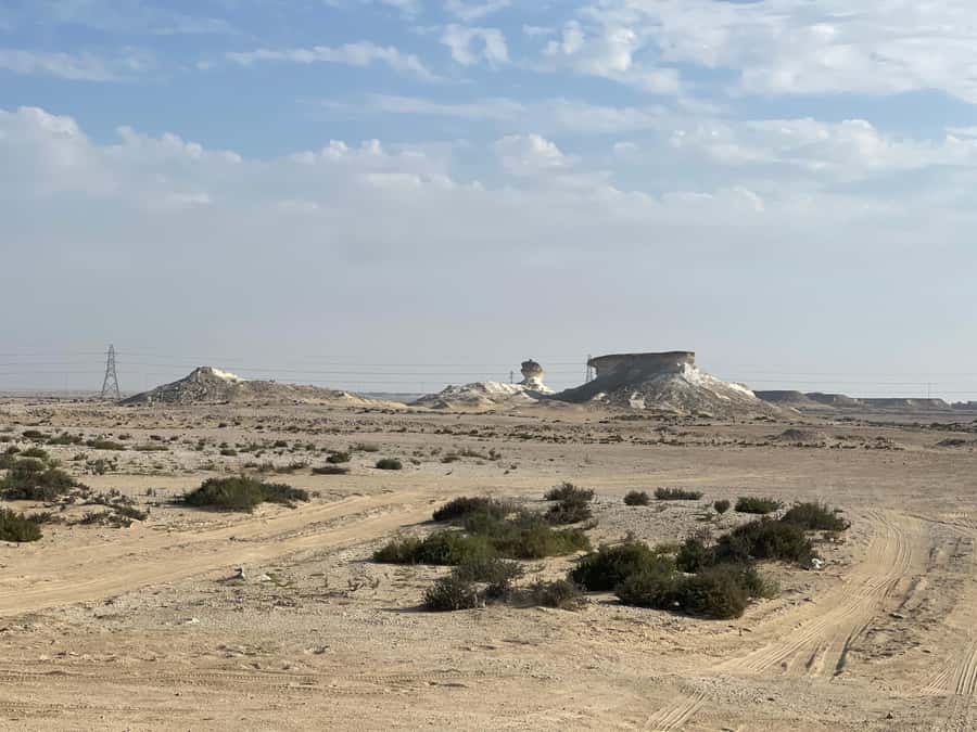 Doha Full Day North & West Tour | Rich History & culture - Al Thakira Mangroves, a cooler change of scenery