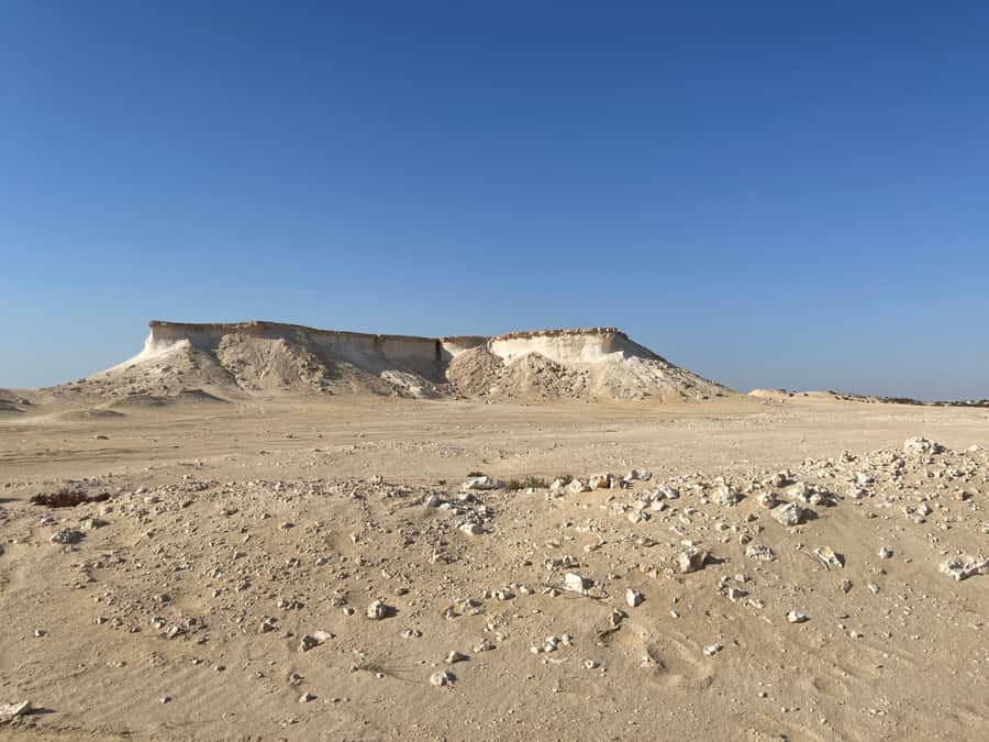 Doha Full Day North & West Tour | Rich History & culture - The seven-hour rhythm and what to expect