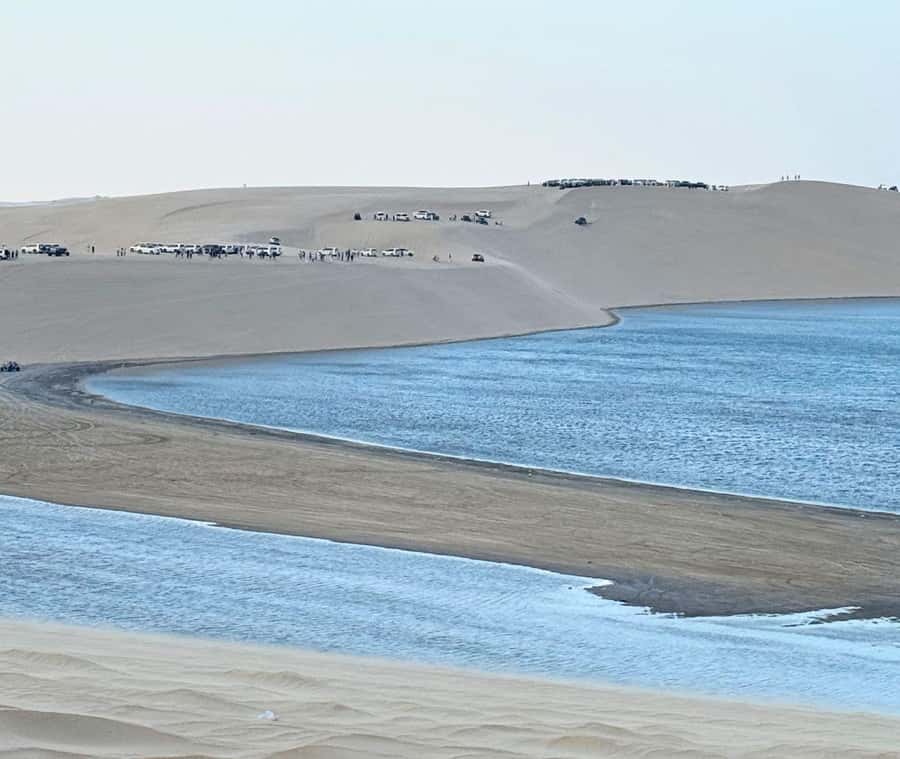 Doha: Guided Desert Safari Tour with Pickup & Drop Service - Why this desert safari works well from Doha