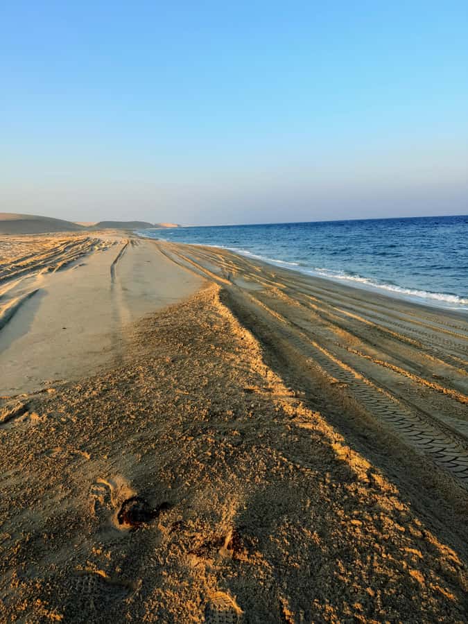 Doha: Guided Desert Safari Tour with Pickup & Drop Service - Khor Al Adaid, where the sand meets the sea