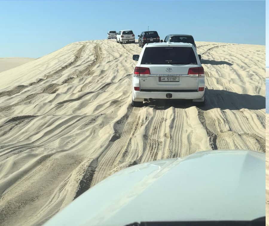 Doha: Guided Desert Safari Tour with Pickup & Drop Service - What the guide and vehicle add