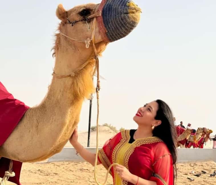 Doha: Half Day Desert Safari, Camel Ride , Sandboarding - What $25 really gets you