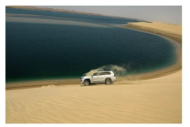 Doha Half Day Desert Safari Dune Bashing CamelRide & Sandboarding - Camel Riding at Sealine Beach