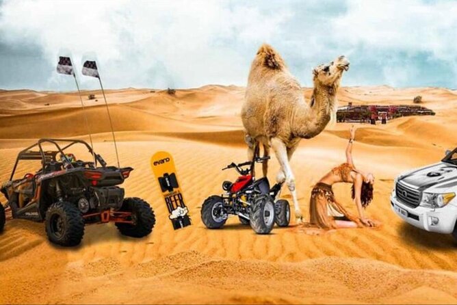 Doha: Half Day Desert Safari with Camel Ride and Inland Sea Tour - Key Points to Know Before You Go