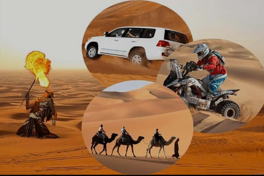 Doha: Half Day Desert Safari With Camel Ride & Sand Boarding - Why this four-hour desert trip works well