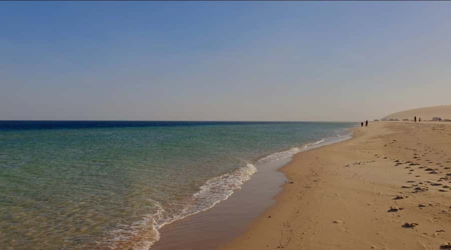 Doha: Half Day Desert Safari With Camel Ride & Sand Boarding - Mesaieed brings a pause between the thrills