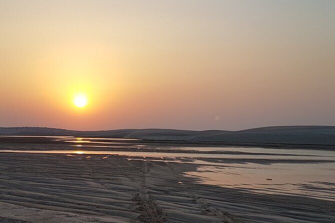 Doha : Half Day Desert Safari With SandBoarding and Camel Ride - Who will enjoy this four-hour desert trip?