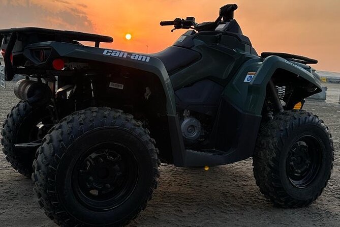 Doha-Half Day Safari with Quad Bike ATV/Camel Ride/sandboard - From Doha to Sealine Beach