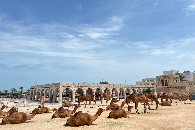 Doha Highlights Guided Tour With Dhow Cruise - Katara Cultural Village: the longest walking stop