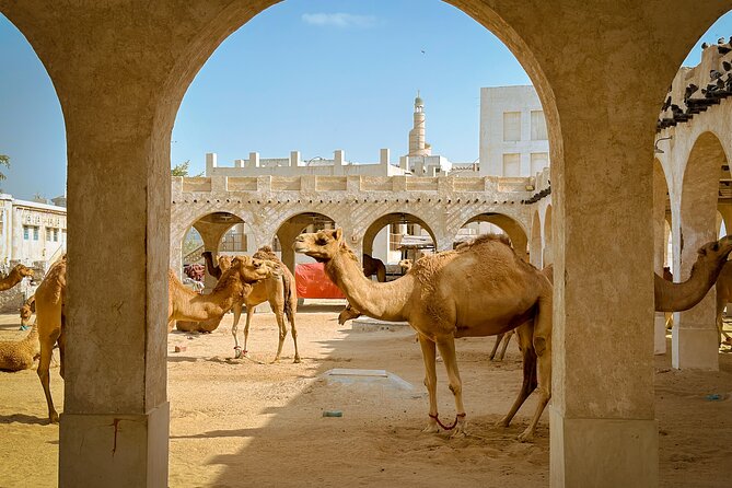 Doha Highlights Private City Tour with Licensed Tour Guide - The Pearl-Qatar, from market lanes to marina living