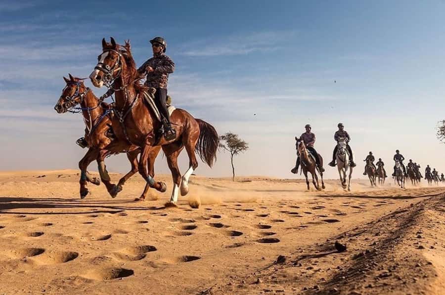 Doha : Horse Riding Tour With Transfer - Riding Across Qatar’s Golden Dunes