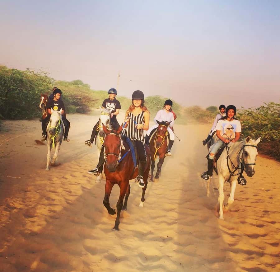 Doha : Horse Riding Tour With Transfer - Morning or Afternoon: Choosing Your Best Time