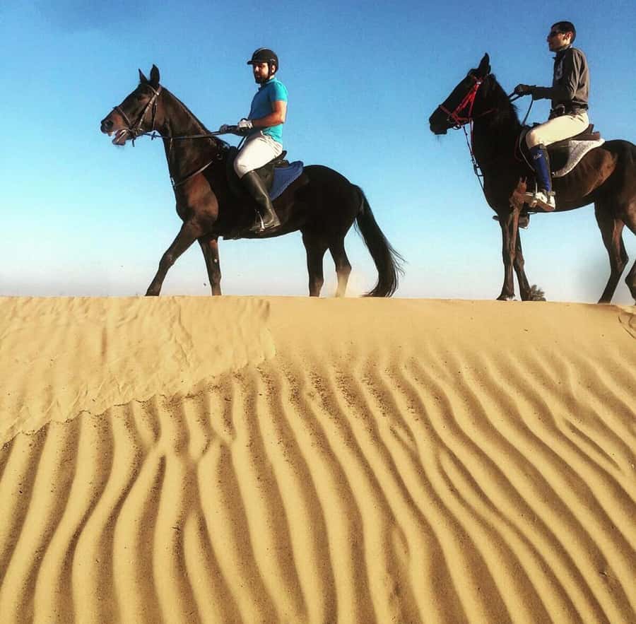Doha : Horse Riding Tour With Transfer - What To Bring and How To Prepare