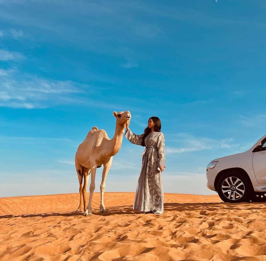 Doha: Inland Sea, Desert Safari, Camel Ride and Sandboarding - What $17 gets you
