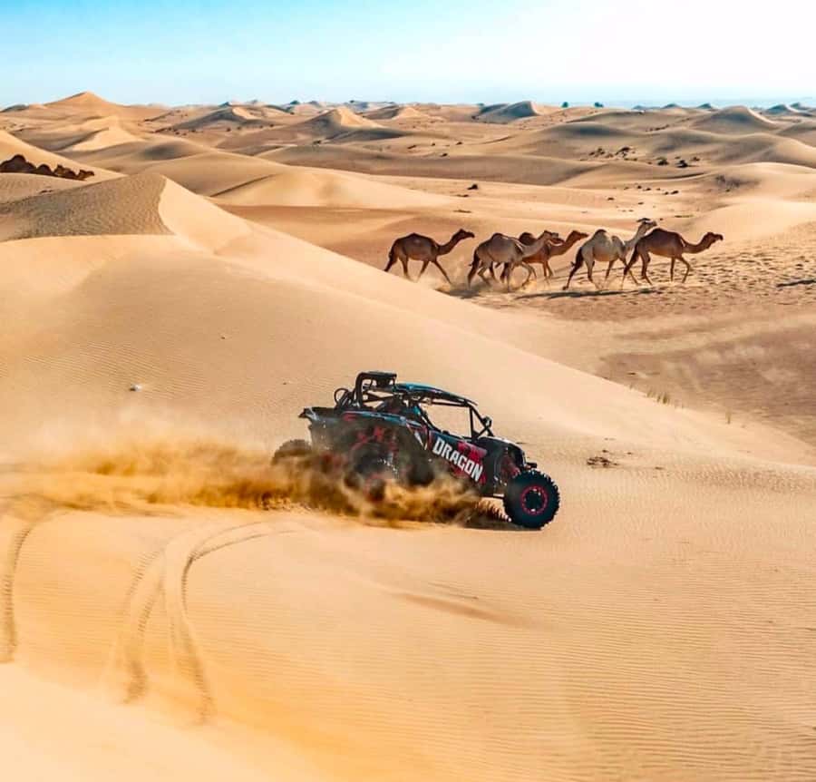 Doha: Inland Sea, Desert Safari, Camel Ride and Sandboarding - Timing, comfort, and practical planning