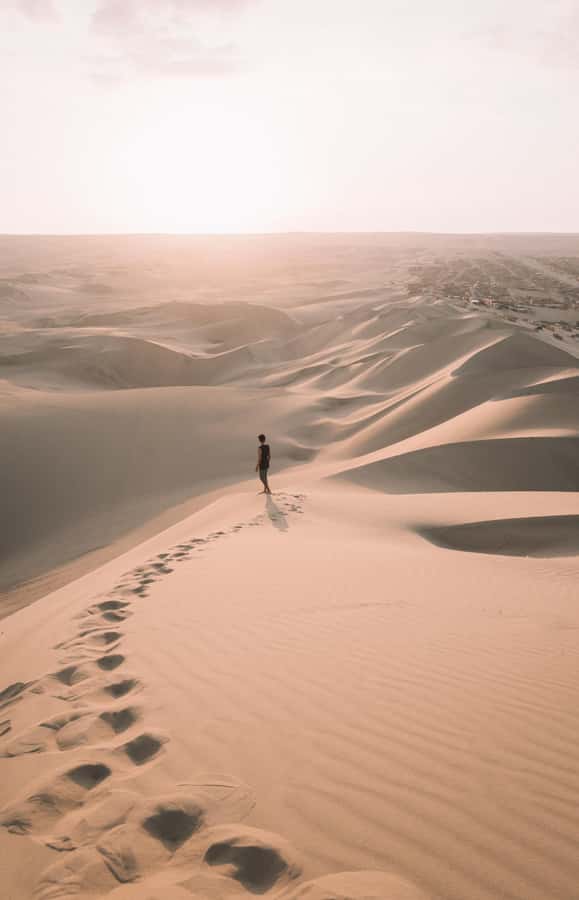 Doha : Inland Sea Desert Safari ,Camel Ride & Sandboarding - Photo stops and the value of a good guide