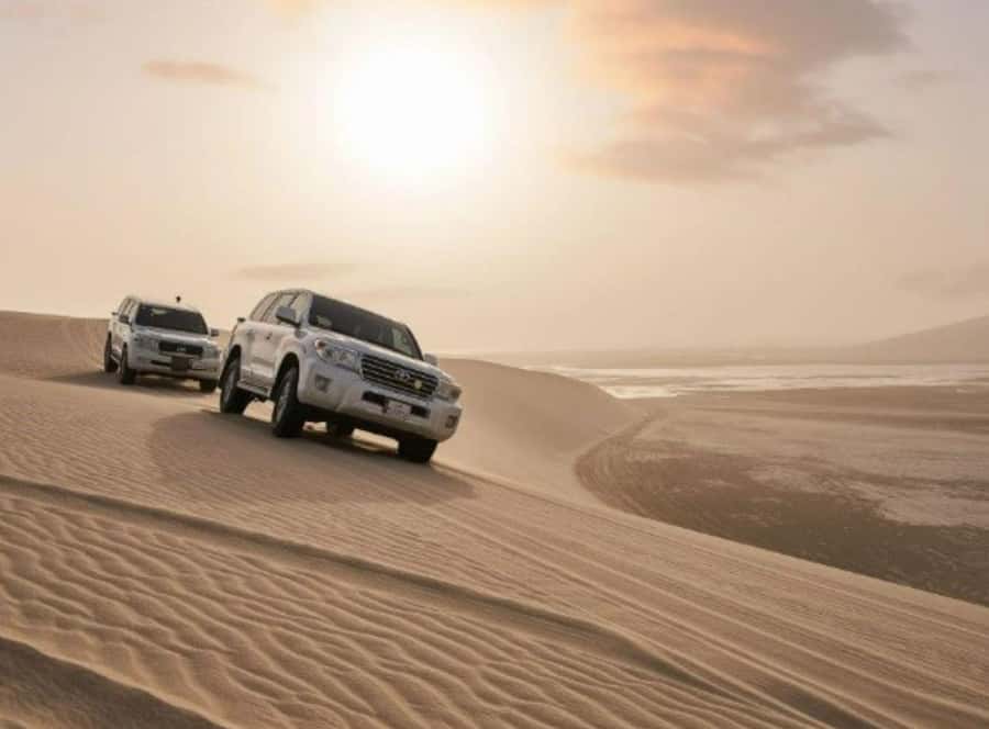 Doha : Inland Sea Desert Safari ,Camel Ride & Sandboarding - The camel ride: a quiet start before the speed