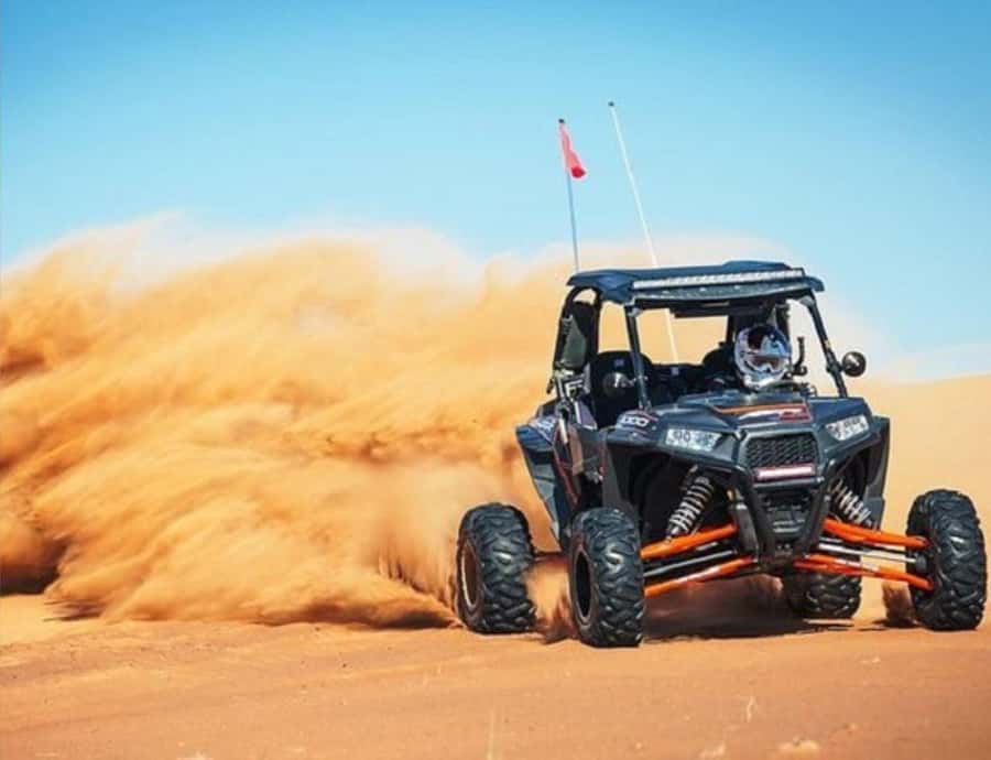 Doha: InlandSea Tour,Camel,Sand Boarding With All Activities - Camel riding for a slower view