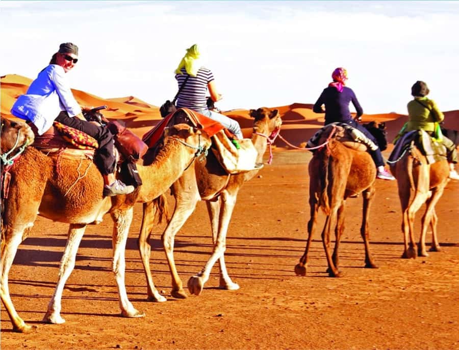 Doha: InlandSea Tour,Camel,Sand Boarding With All Activities - What the $13 price really means