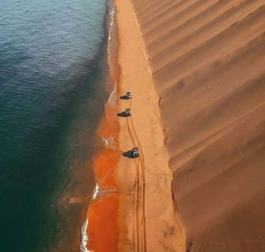 Doha: InlandSea Tour,Camel,Sand Boarding With All Activities - Should you book the Inland Sea tour?