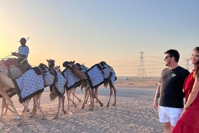 Doha Layover or Doha Stopover Tour with Desert & City Tour - Key points to know before booking