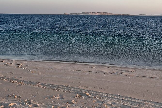 Doha Layover or Doha Stopover Tour with Desert & City Tour - Three hours of dune bashing and sand boarding