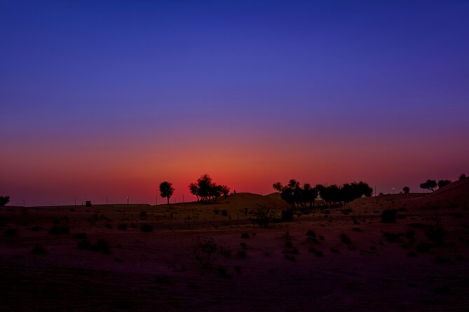 Doha Night Desert Safari Adventure - Paragliding views and the singing dunes