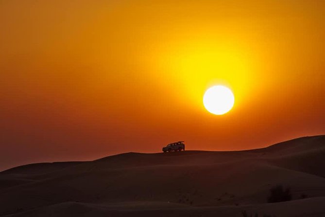 Doha Night Desert Safari Camel Ride Dune Bashing with Transfer - At a glance: what makes this safari worth considering