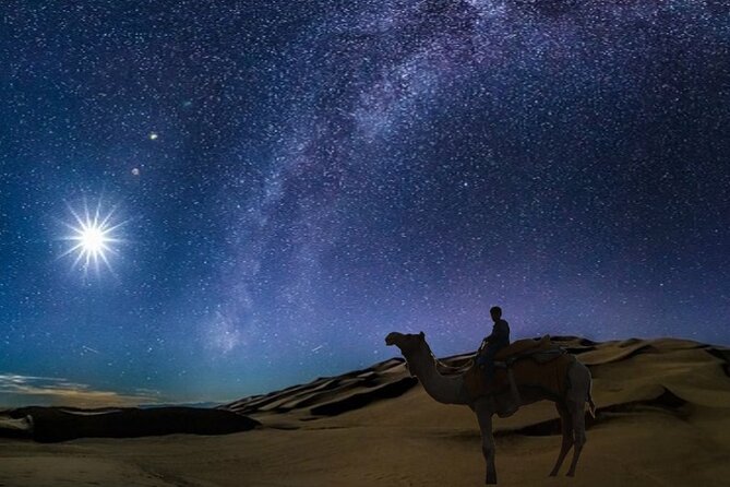 Doha Night Desert Safari Camel Ride Dune Bashing with Transfer - Sealine Beach: camels, sand, and a short burst of speed